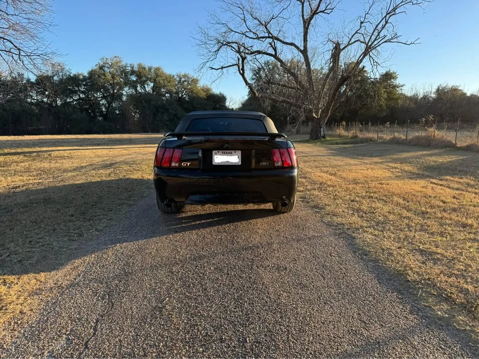 2001 Ford SN95 Mustang - Image 5 of 16