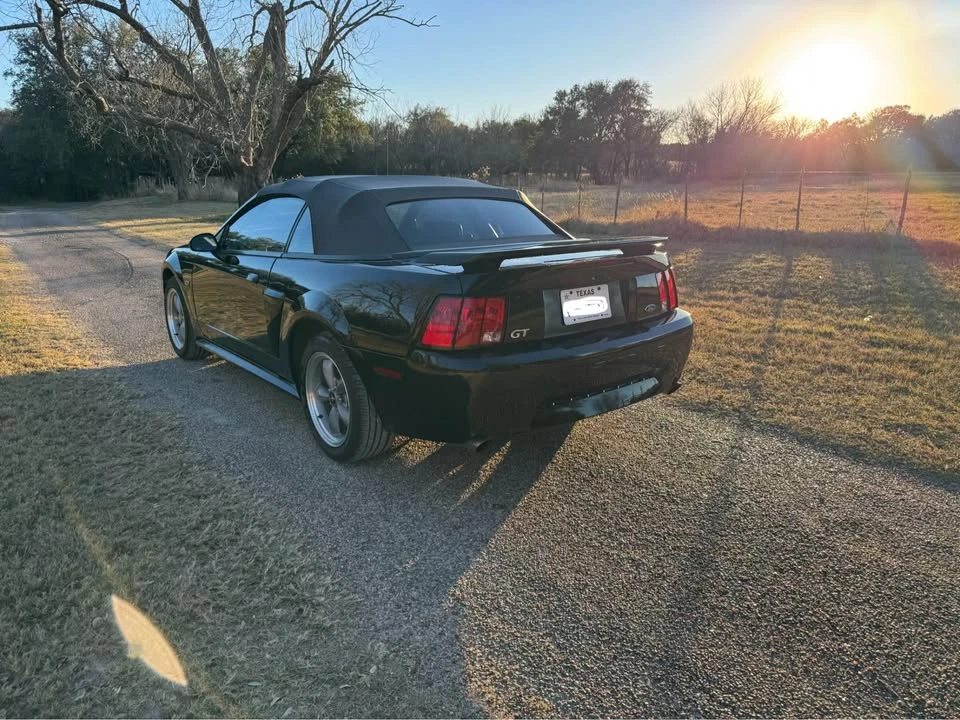 2001 Ford SN95 Mustang - Image 6 of 16