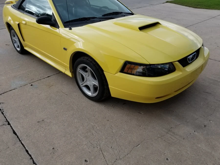 2001 Ford SN95 Mustang - Image 12 of 12