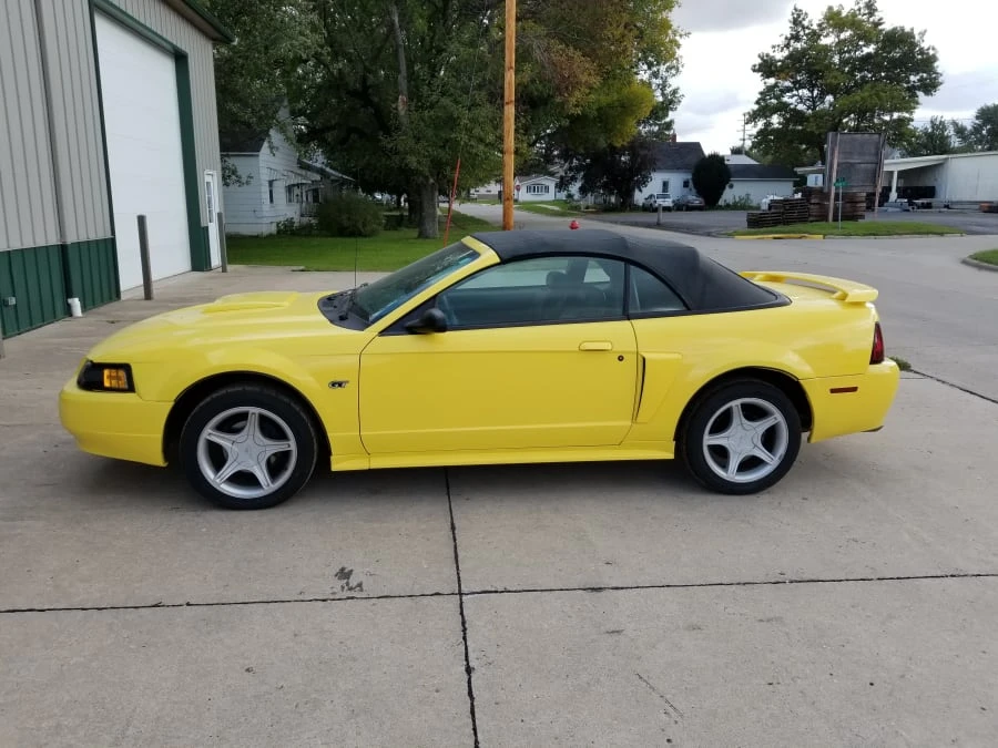 2001 Ford SN95 Mustang - Image 11 of 12