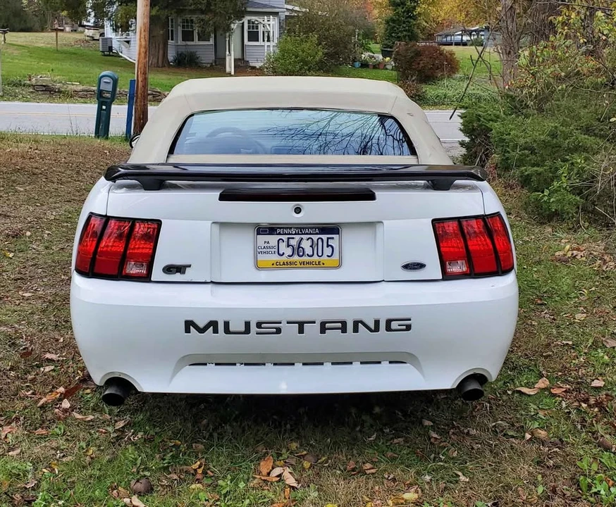 2001 Ford SN95 Mustang - Image 2 of 8