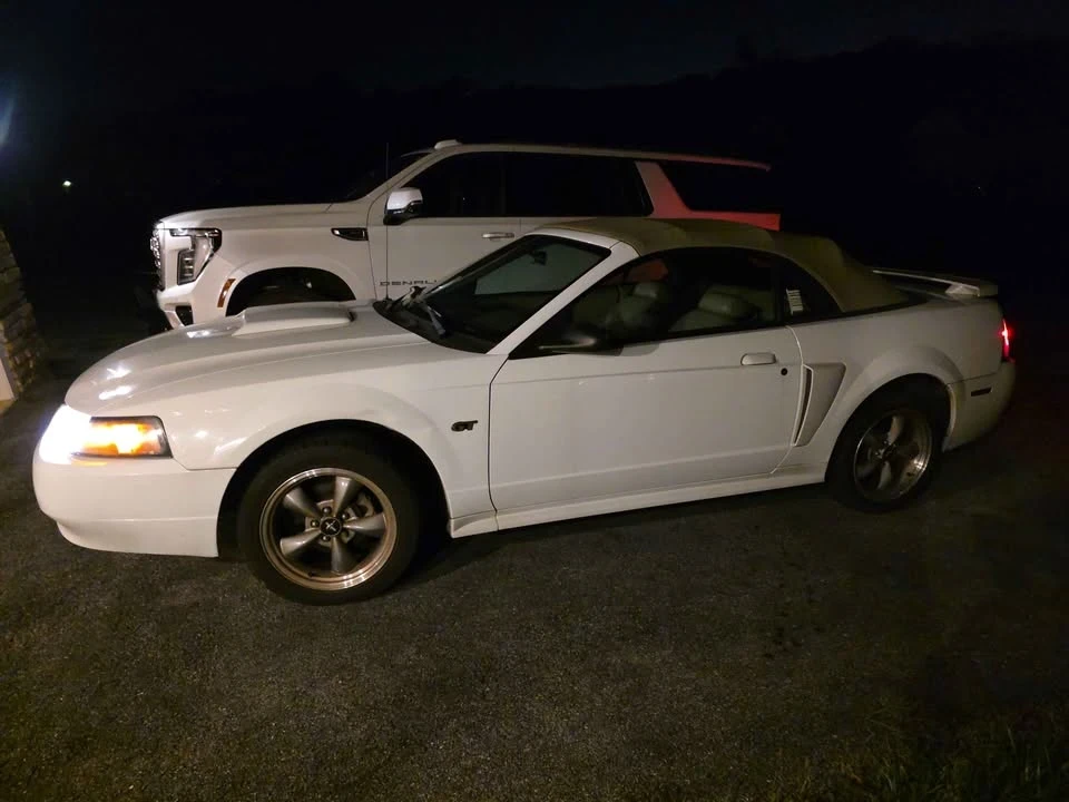 2001 Ford SN95 Mustang - Image 3 of 4