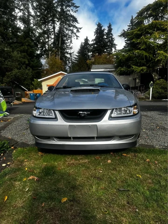 2001 Ford SN95 Mustang - Image 4 of 7