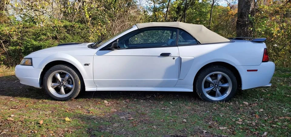 2001 Ford SN95 Mustang - Image 3 of 8