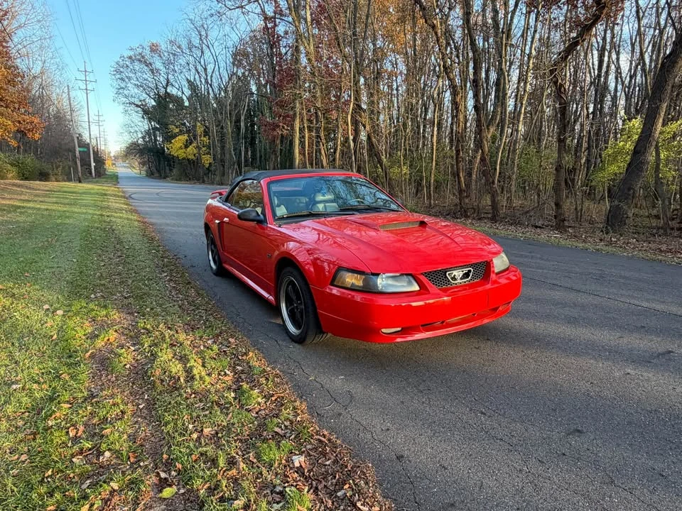 2001 Ford SN95 Mustang - Image 6 of 10