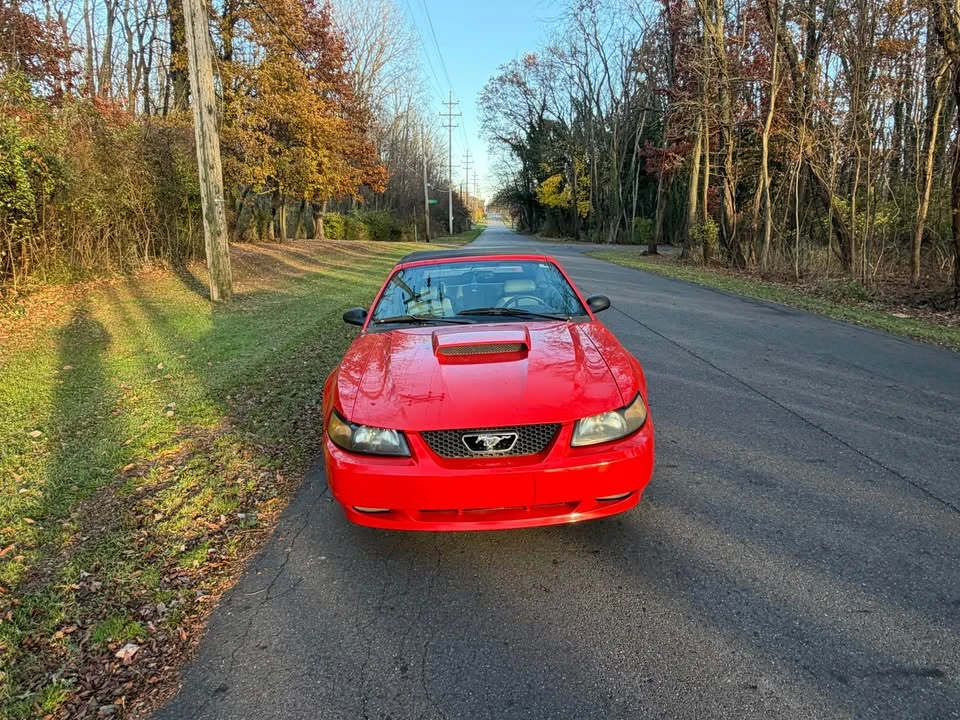 2001 Ford SN95 Mustang - Image 7 of 10