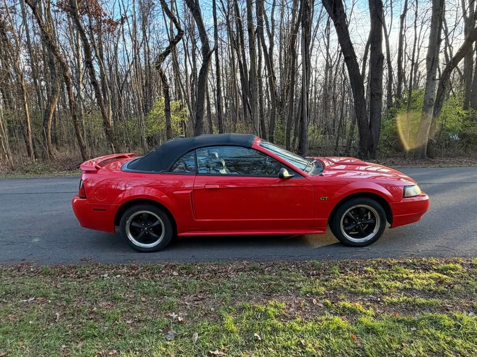 2001 Ford SN95 Mustang - Image 5 of 10