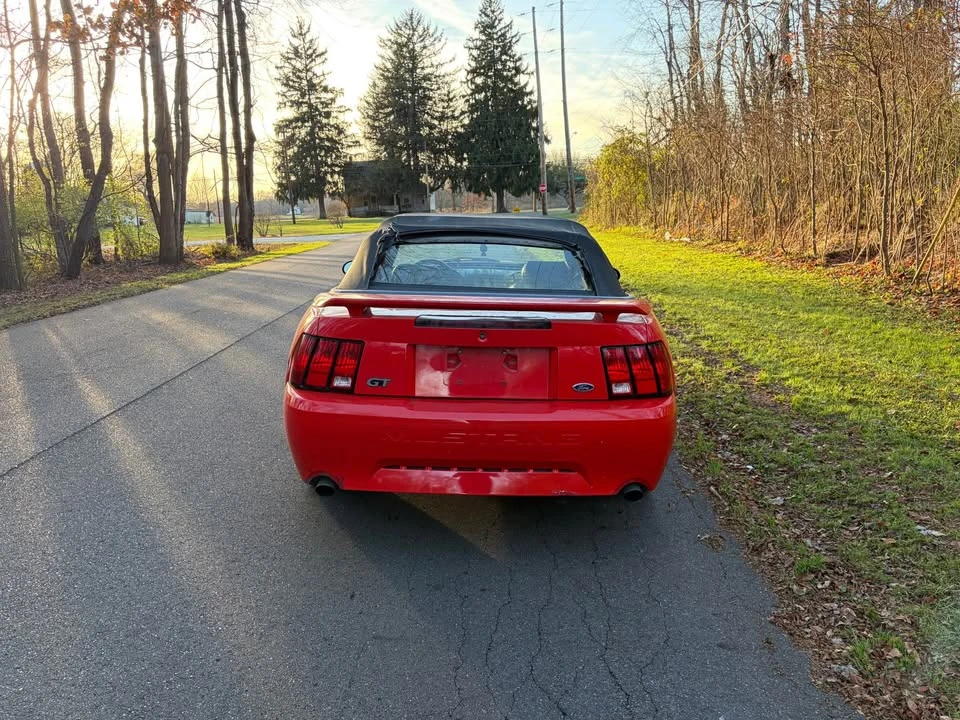 2001 Ford SN95 Mustang - Image 3 of 10