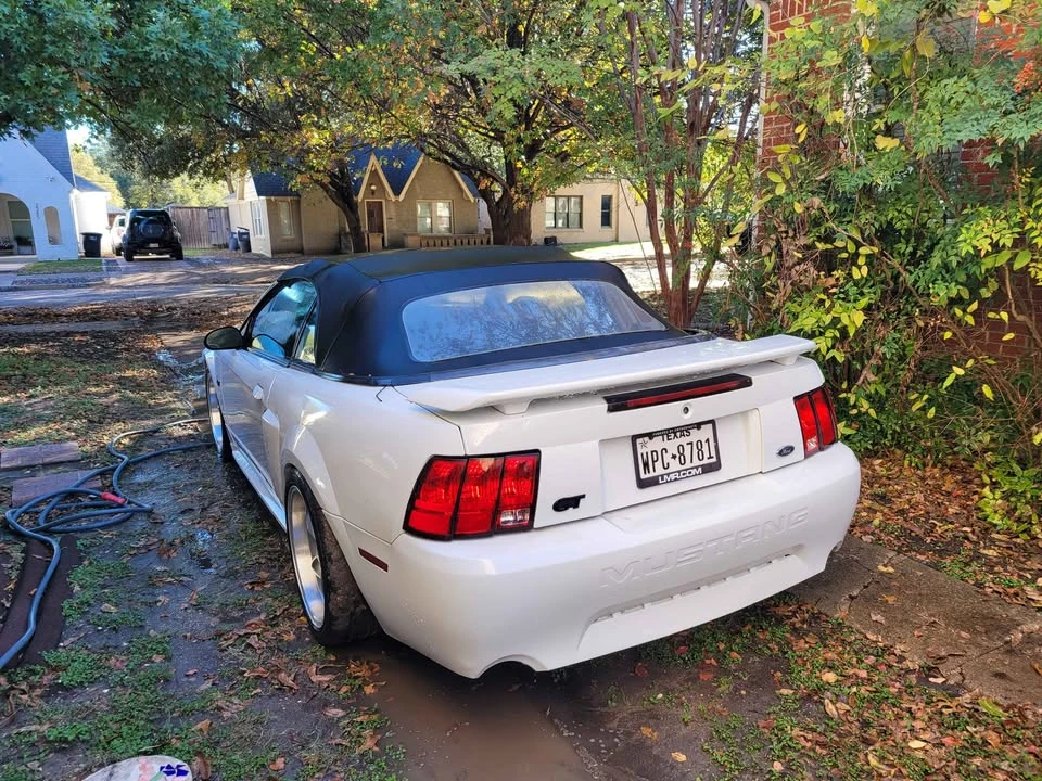 2001 Ford SN95 Mustang - Image 5 of 8