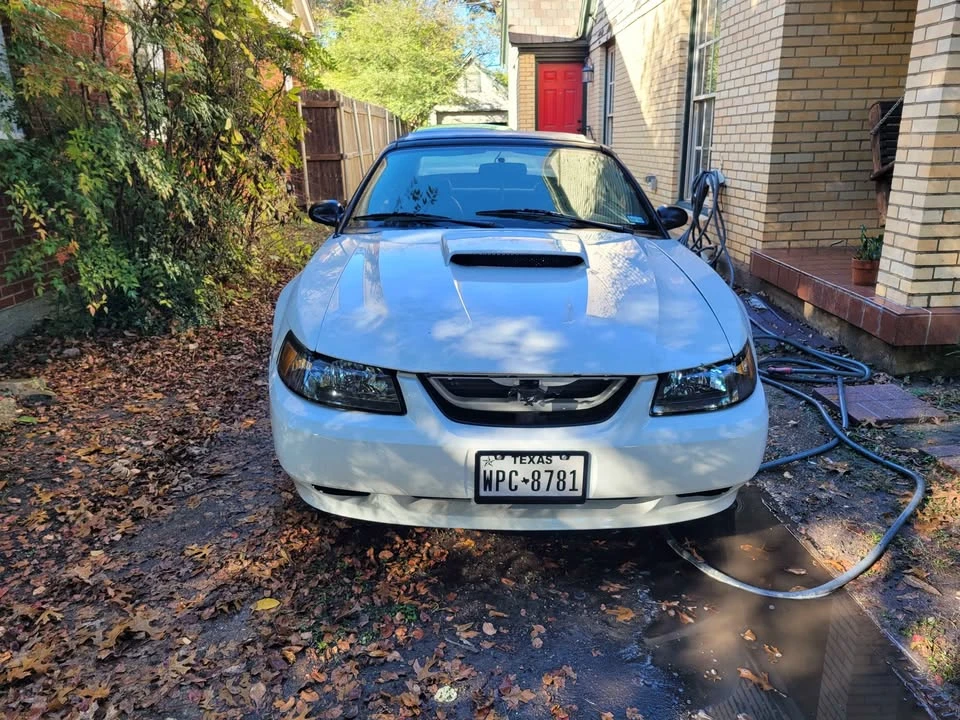 2001 Ford SN95 Mustang - Image 3 of 8