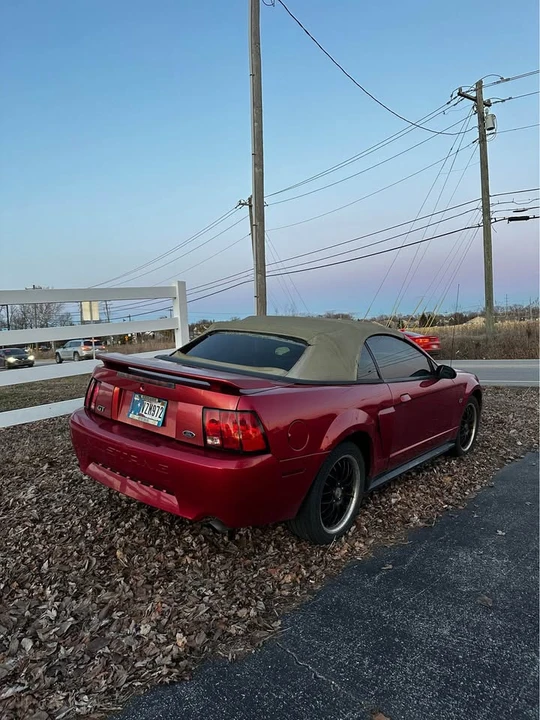 2001 Ford SN95 Mustang - Image 4 of 9