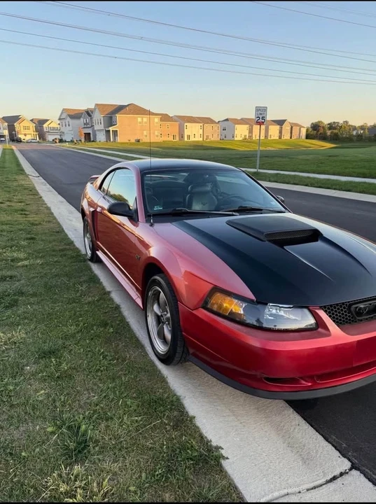 2001 Ford SN95 Mustang - Image 2 of 8