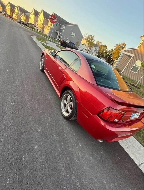 2001 Ford SN95 Mustang - Image 5 of 8