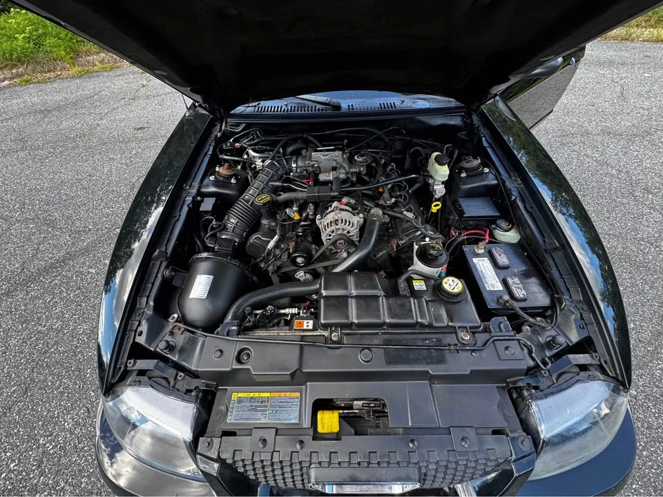 2001 Ford SN95 Mustang - Image 17 of 17