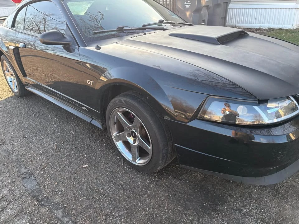 2001 Ford SN95 Mustang - Image 4 of 8