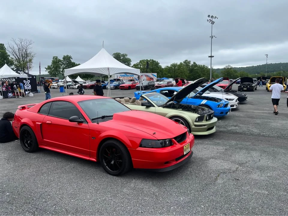 2001 Ford SN95 Mustang - Image 6 of 9