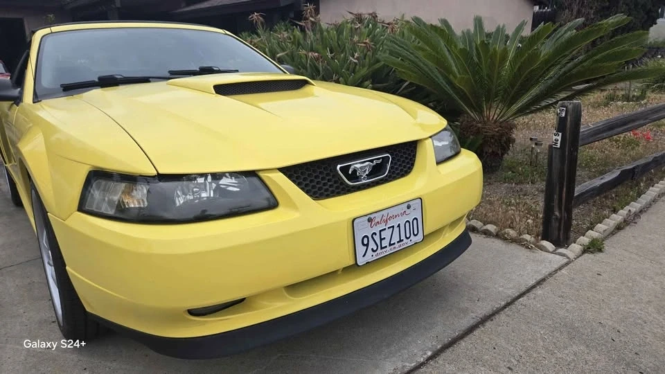 2001 Ford SN95 Mustang - Image 11 of 14