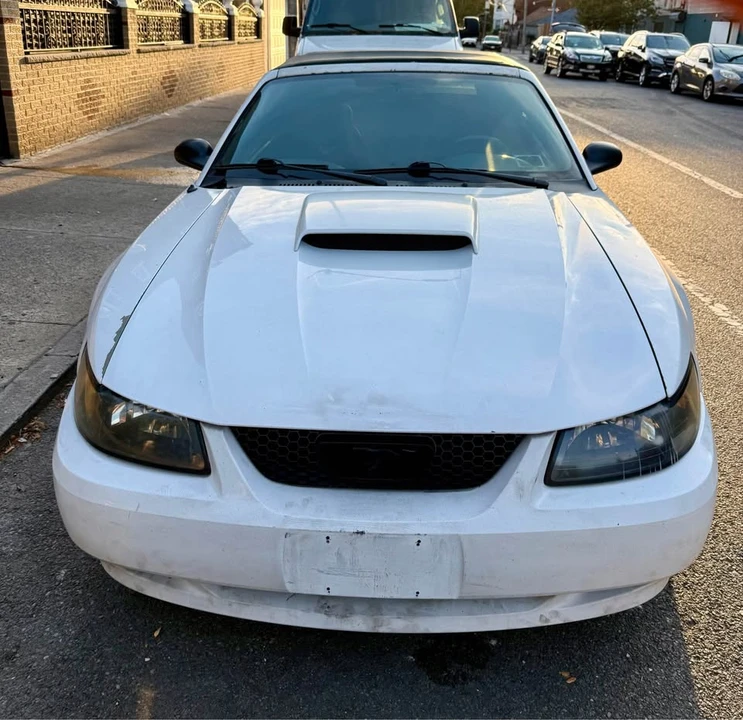 2001 Ford SN95 Mustang - Image 5 of 13