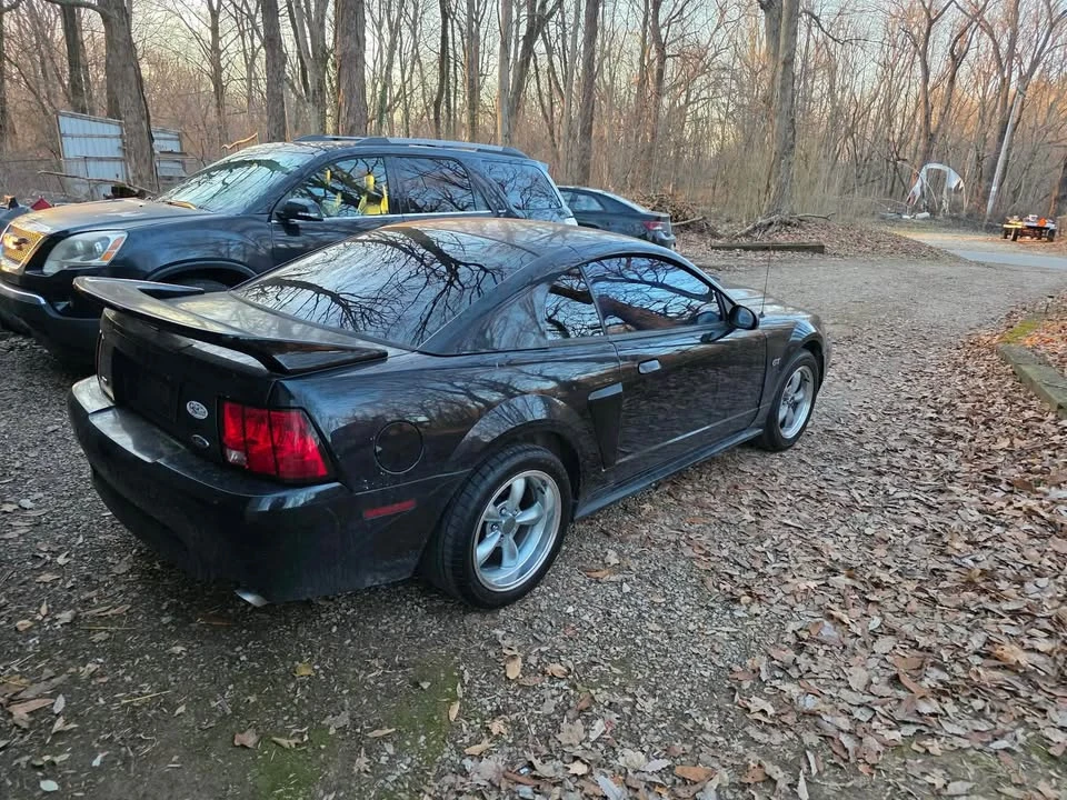 2001 Ford SN95 Mustang - Image 5 of 9