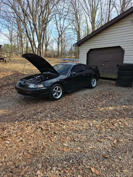 2001 Ford SN95 Mustang - Image 8 of 9