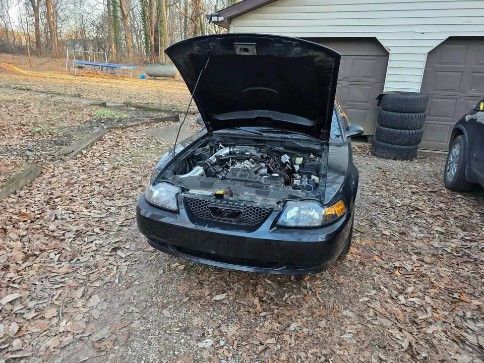 2001 Ford SN95 Mustang - Image 2 of 9