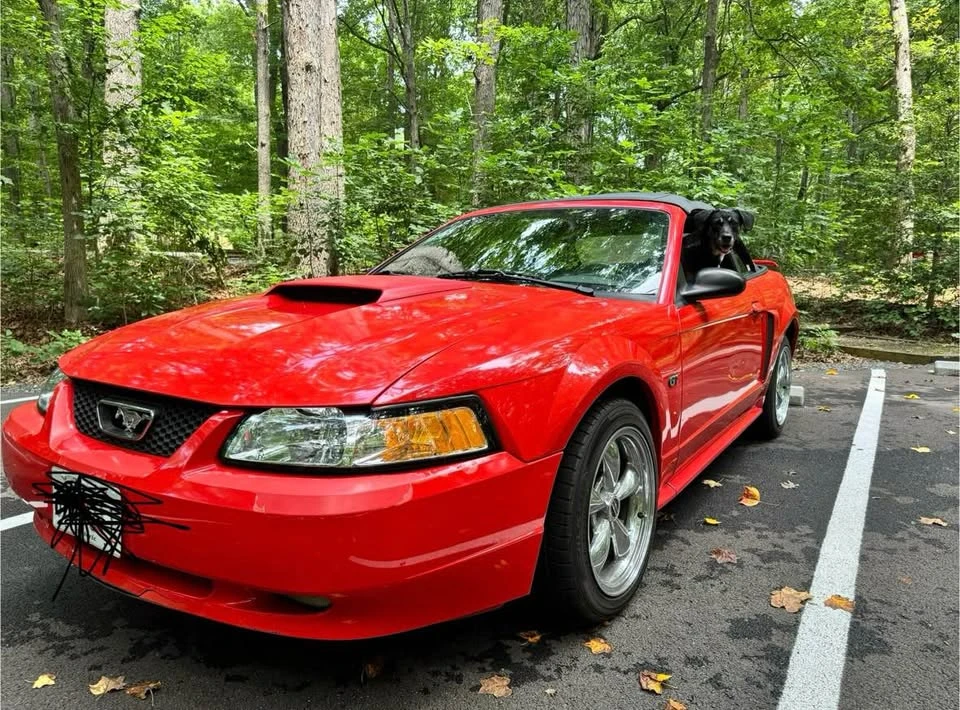 2001 Ford SN95 Mustang - Image 2 of 2