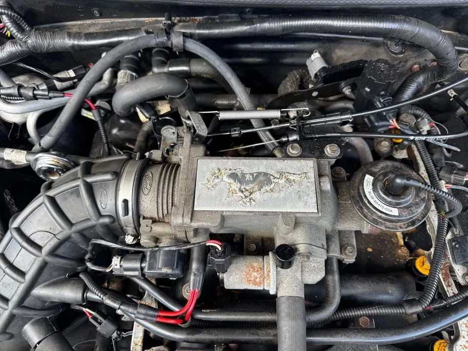 2001 Ford SN95 Mustang - Image 18 of 18