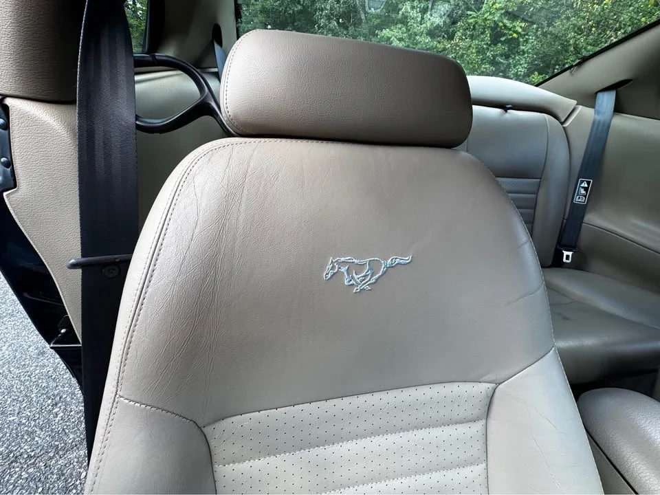 2001 Ford SN95 Mustang - Image 14 of 18