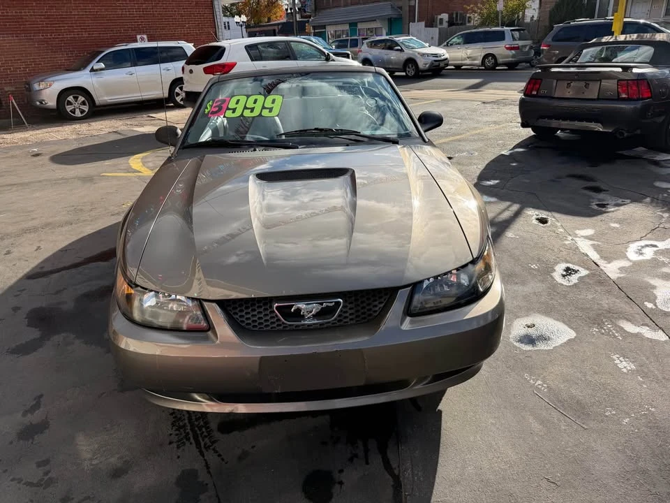 2001 Ford SN95 Mustang - Image 2 of 17