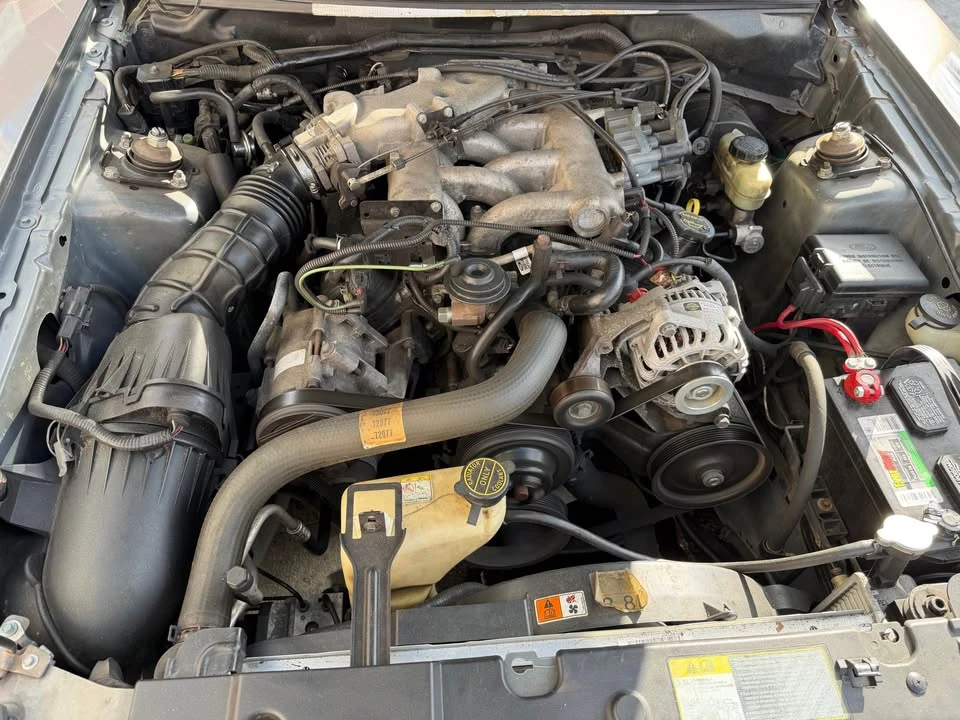2001 Ford SN95 Mustang - Image 14 of 17