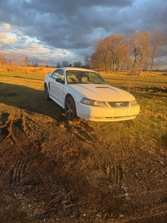 2001 Ford SN95 Mustang - Image 2 of 10