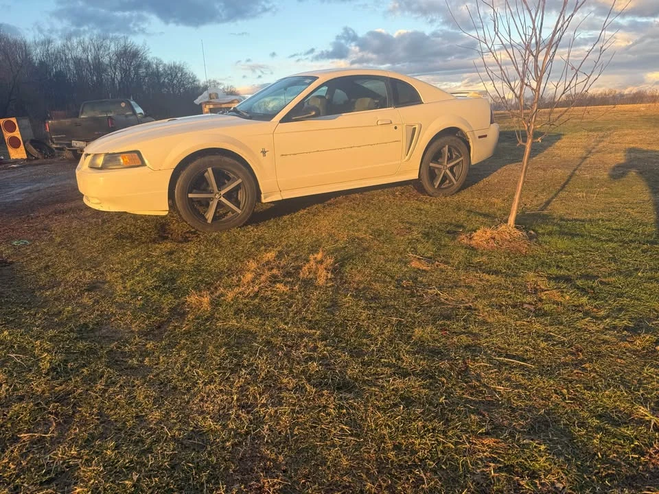 2001 Ford SN95 Mustang - Image 4 of 10