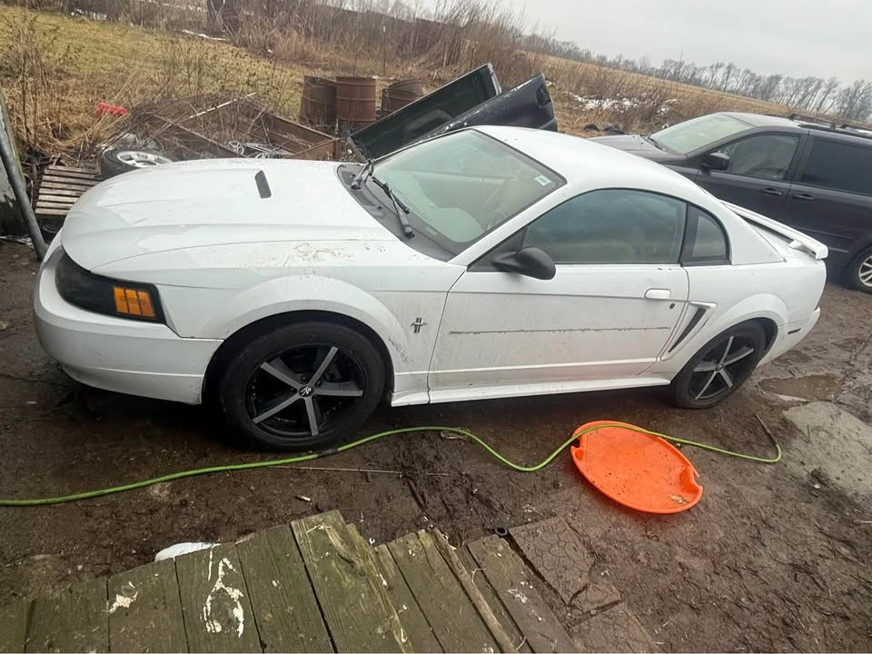 2001 Ford SN95 Mustang - Image 10 of 10