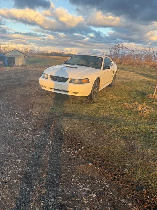 2001 Ford SN95 Mustang - Image 3 of 10