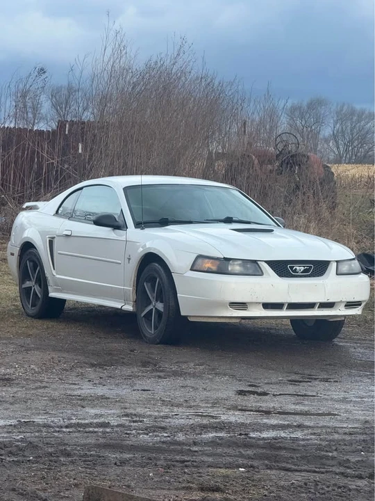 2001 Ford SN95 Mustang - Image 5 of 10