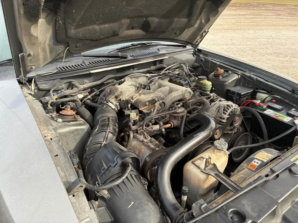 2001 Ford SN95 Mustang - Image 5 of 6