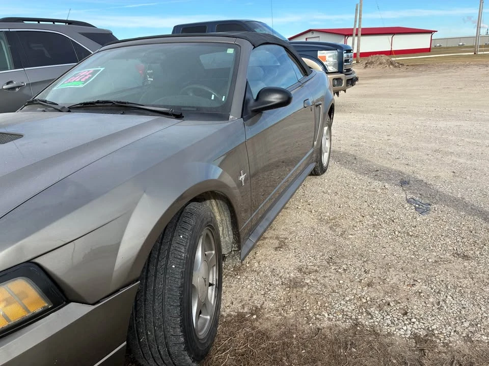 2001 Ford SN95 Mustang - Image 3 of 6