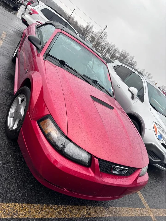2001 Ford SN95 Mustang - Image 3 of 11