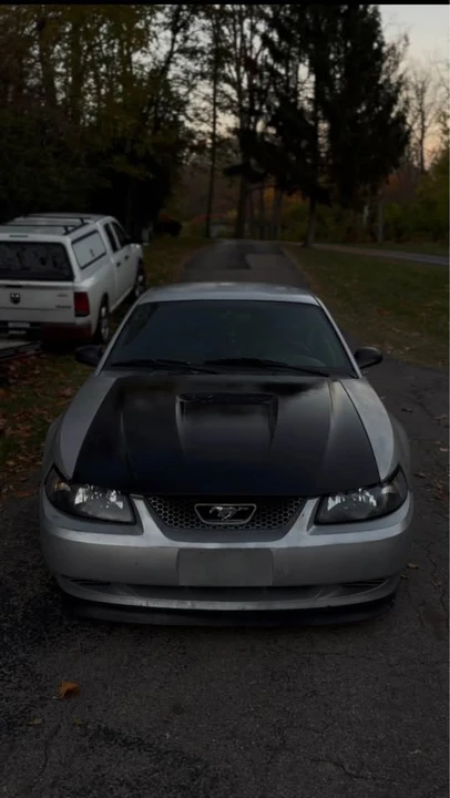 2001 Ford SN95 Mustang - Image 4 of 5