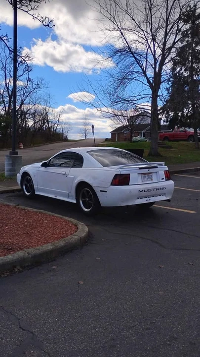 2001 Ford SN95 Mustang - Image 9 of 10