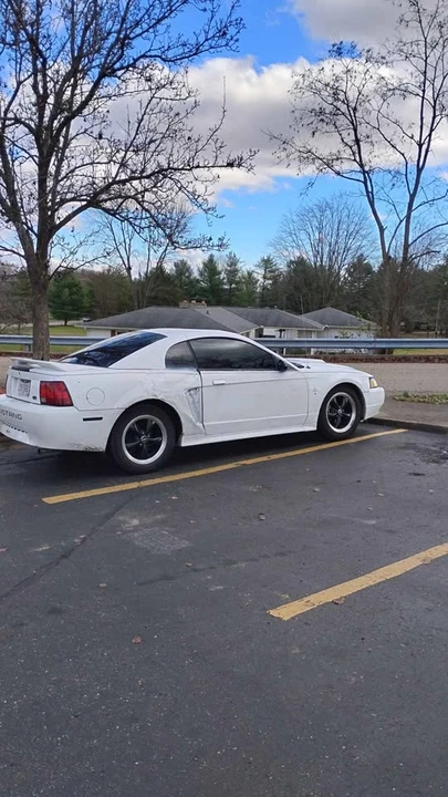 2001 Ford SN95 Mustang - Image 10 of 10