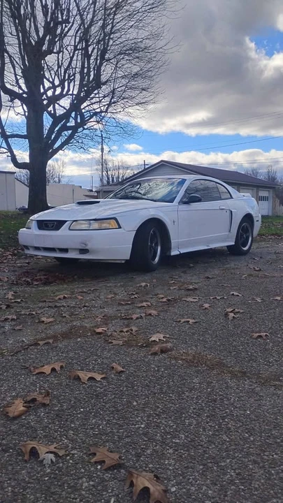 2001 Ford SN95 Mustang - Image 7 of 10