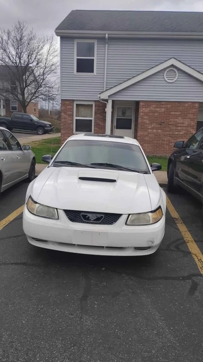 2001 Ford SN95 Mustang - Image 3 of 10