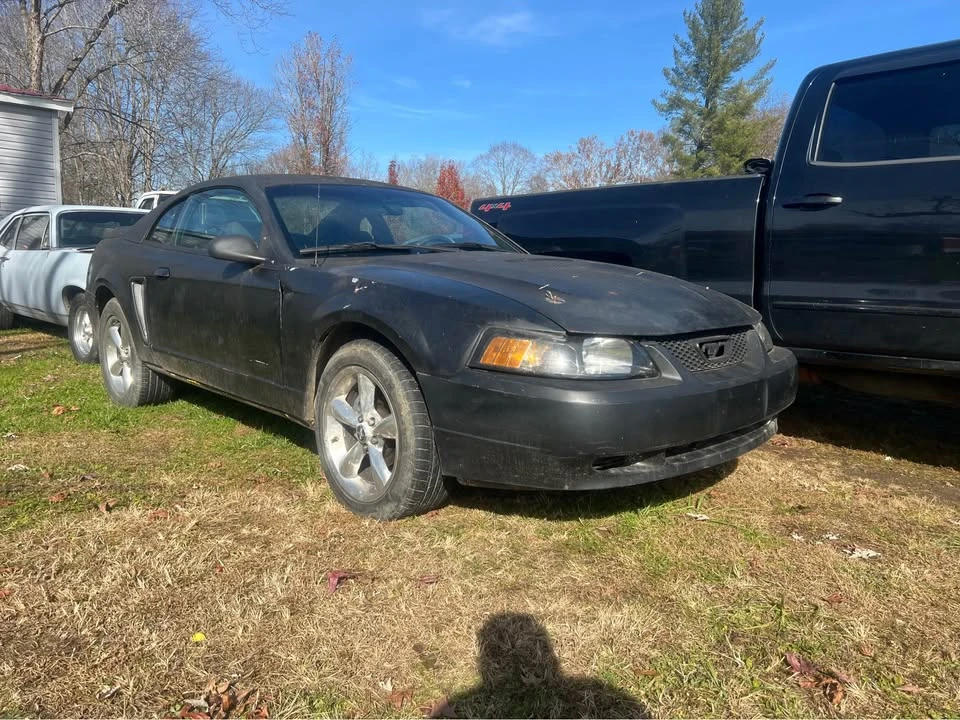 2001 Ford SN95 Mustang - Image 3 of 5