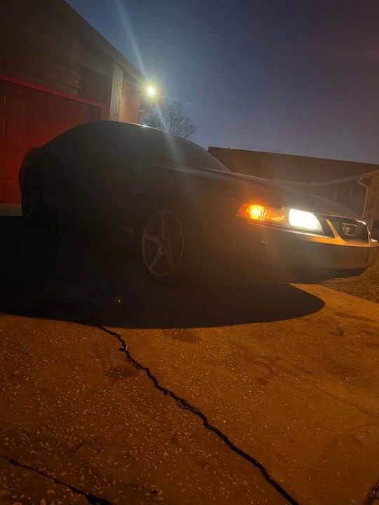 2001 Ford SN95 Mustang - Image 18 of 18