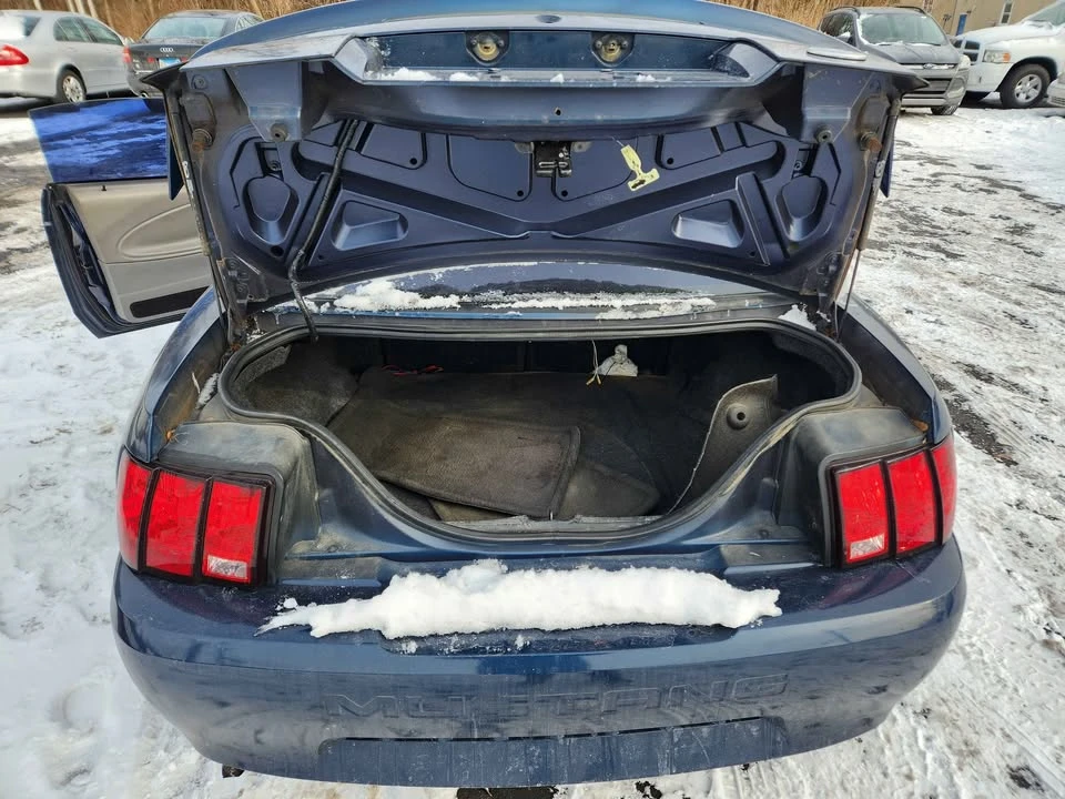 2001 Ford SN95 Mustang - Image 11 of 14