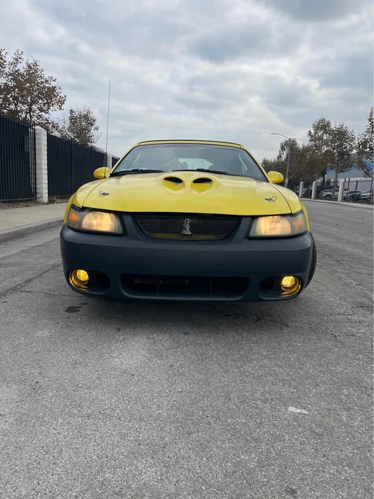 2001 Ford SN95 Mustang Cobra - Image 4 of 17
