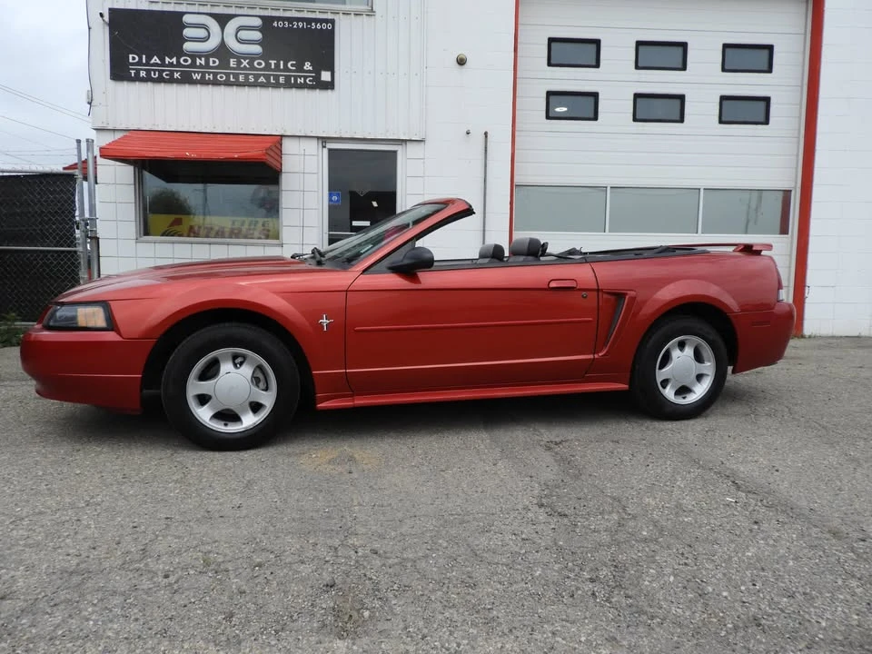 2001 Ford SN95 Mustang - Image 11 of 12