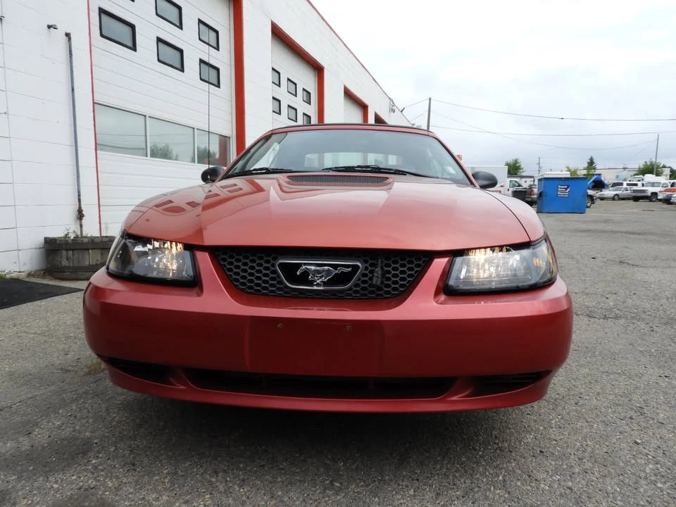 2001 Ford SN95 Mustang - Image 3 of 12