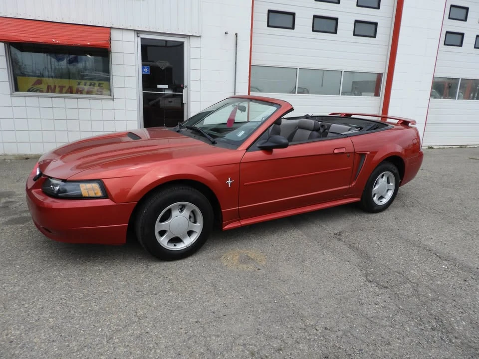 2001 Ford SN95 Mustang - Image 12 of 12